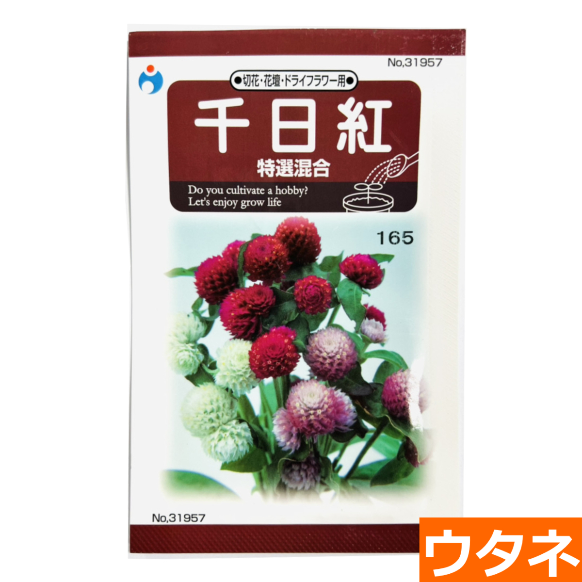 千日紅（特選混合）（種）