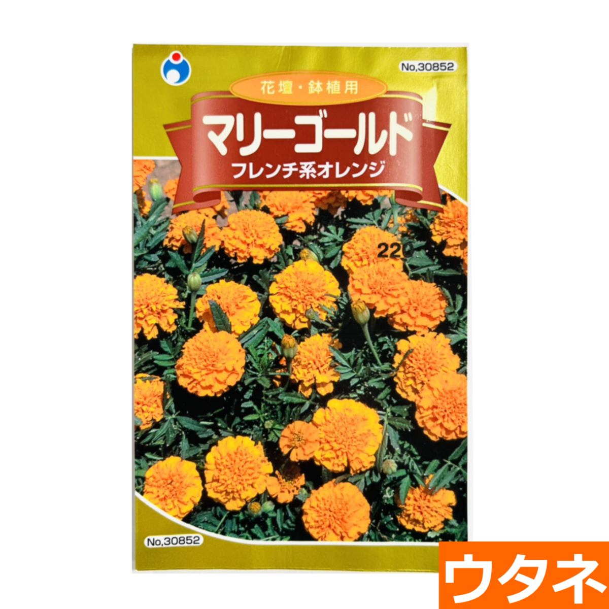 マリーゴールド（フレンチ系オレンジ）（種:ウタネ） 爆買 : プロ農業