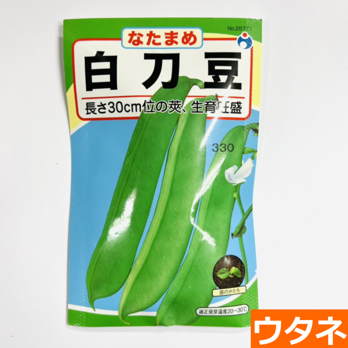 白刀豆（なたまめ）（種:ウタネ） 爆買 : プロ農業 家庭菜園のお店