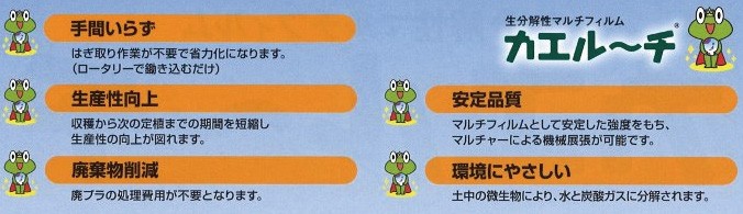 カエルーチ