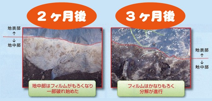 分解の過程