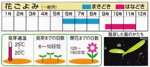 栽培カレンダー（例）