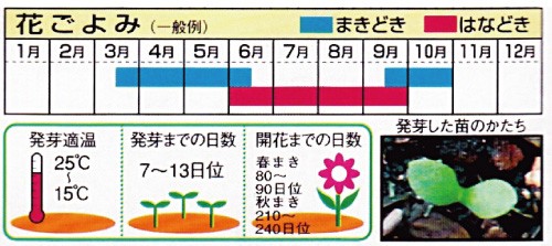 栽培カレンダー（例）