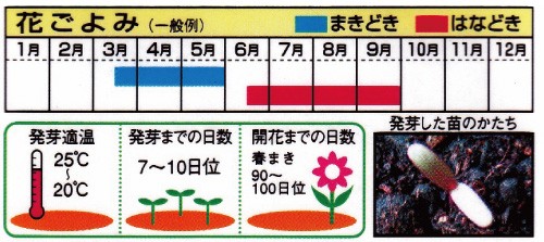 栽培カレンダー（例）