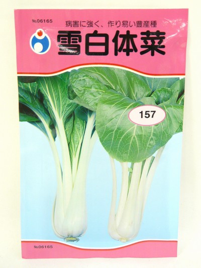 雪白体菜（種）