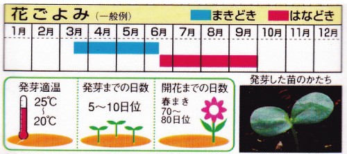 栽培カレンダー（例）