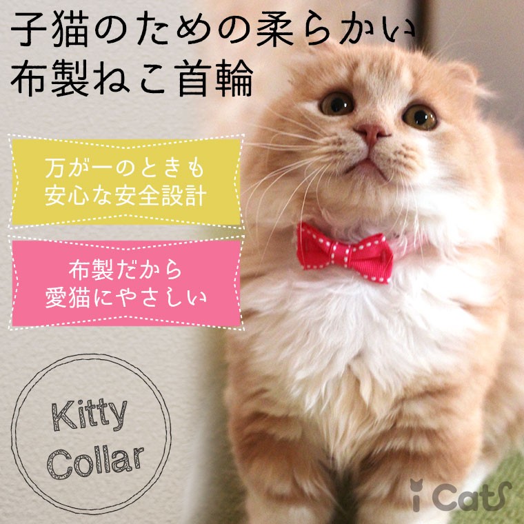 請求可能 擁する 学部 子猫 首輪 リボン Wibcministries Org