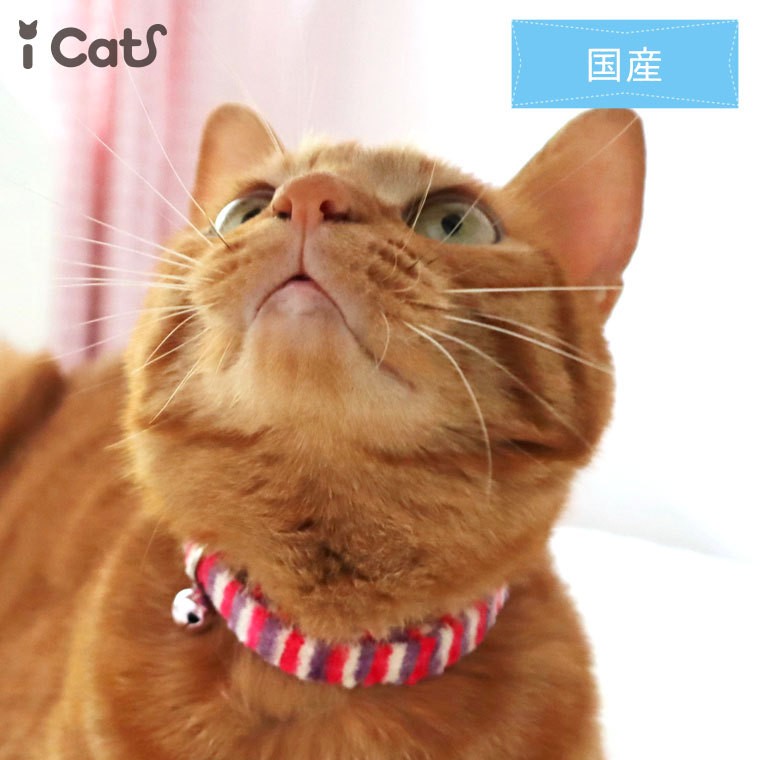 猫用首輪 iCat カジュアルカラー ふんわり織紐 アイキャット メール便