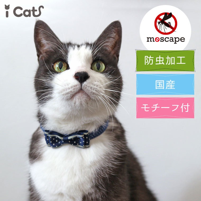 猫 コレクション 首輪 icat