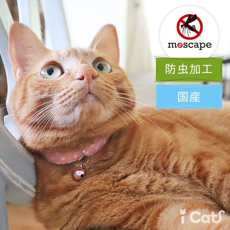 猫 首輪 iCat moscape カジュアルカラー ドット 防虫 猫の首輪 猫首輪 安全首輪