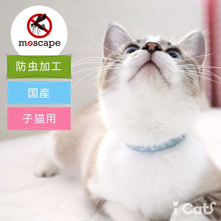 猫 首輪 iCat moscape キティカラー ドット 防虫 猫の首輪 猫首輪 安全首輪