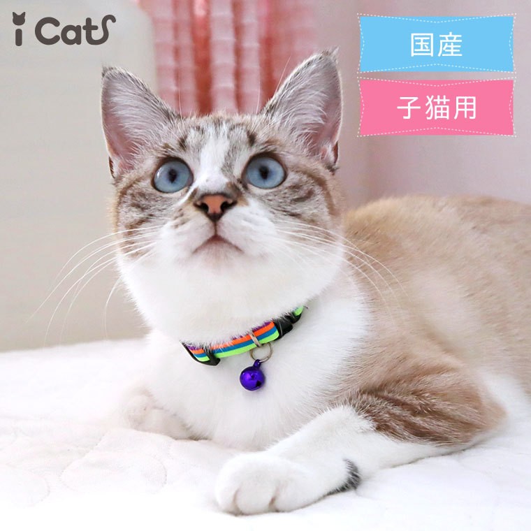 新しい季節 iCat moscape ラブリーカラー 結びリボン 防虫 アイキャット メール便OK
