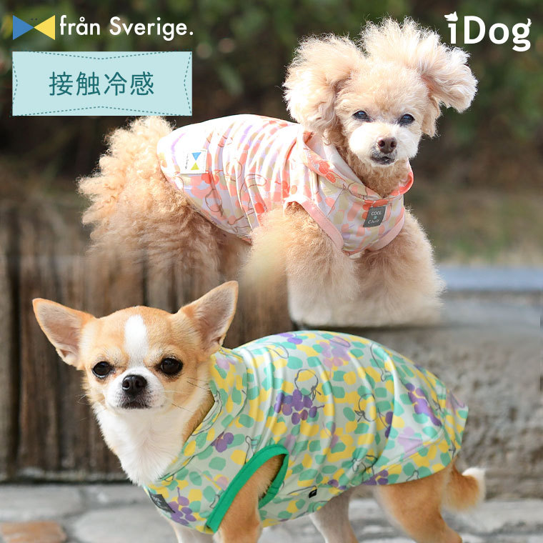 54%OFF!】 犬服 夏用 クール iDog COOL Chill フルーツパーカーfran Sverige. 接触冷感 アイドッグ メール便OK  チワワ プードル 熱中症対策 igotanewlattitude.com