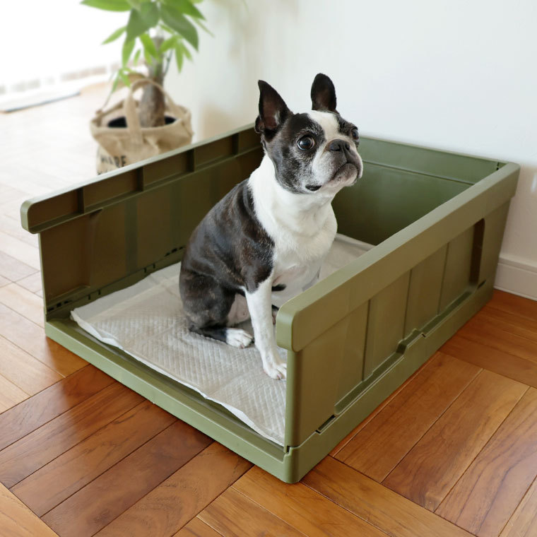 犬 トイレ Idog Hack 愛犬のためのインテリアトイレ Container 144 Idog 通販 Yahoo ショッピング