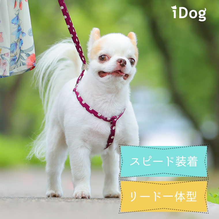 犬 首輪 リード iDog ワンタッチハーネス アイドッグ 犬の首輪 犬のリード