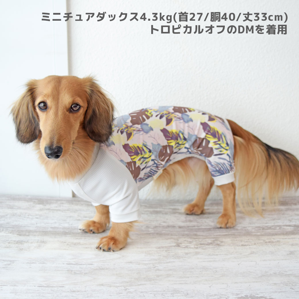 iDog 犬 服 COOL+MOSCAPE アーバントロピカルカバーオール 接触冷感 防