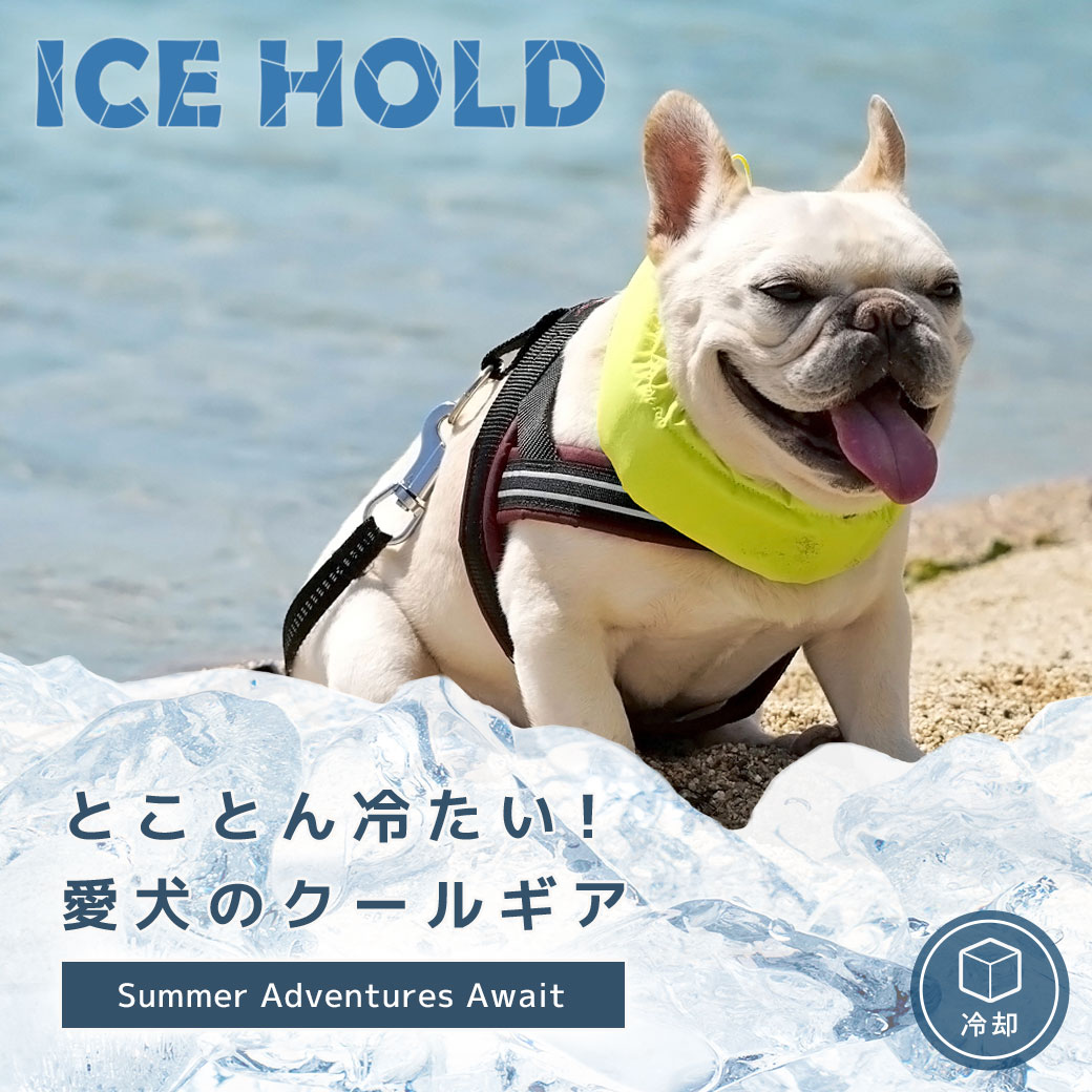  犬 猫 ペット iDog IDOG ICE HOLD ネッククーラー  保冷剤付 アイドッグ 暑さ対策 冷感グッズ 熱中症予防 冷却 ひんやり