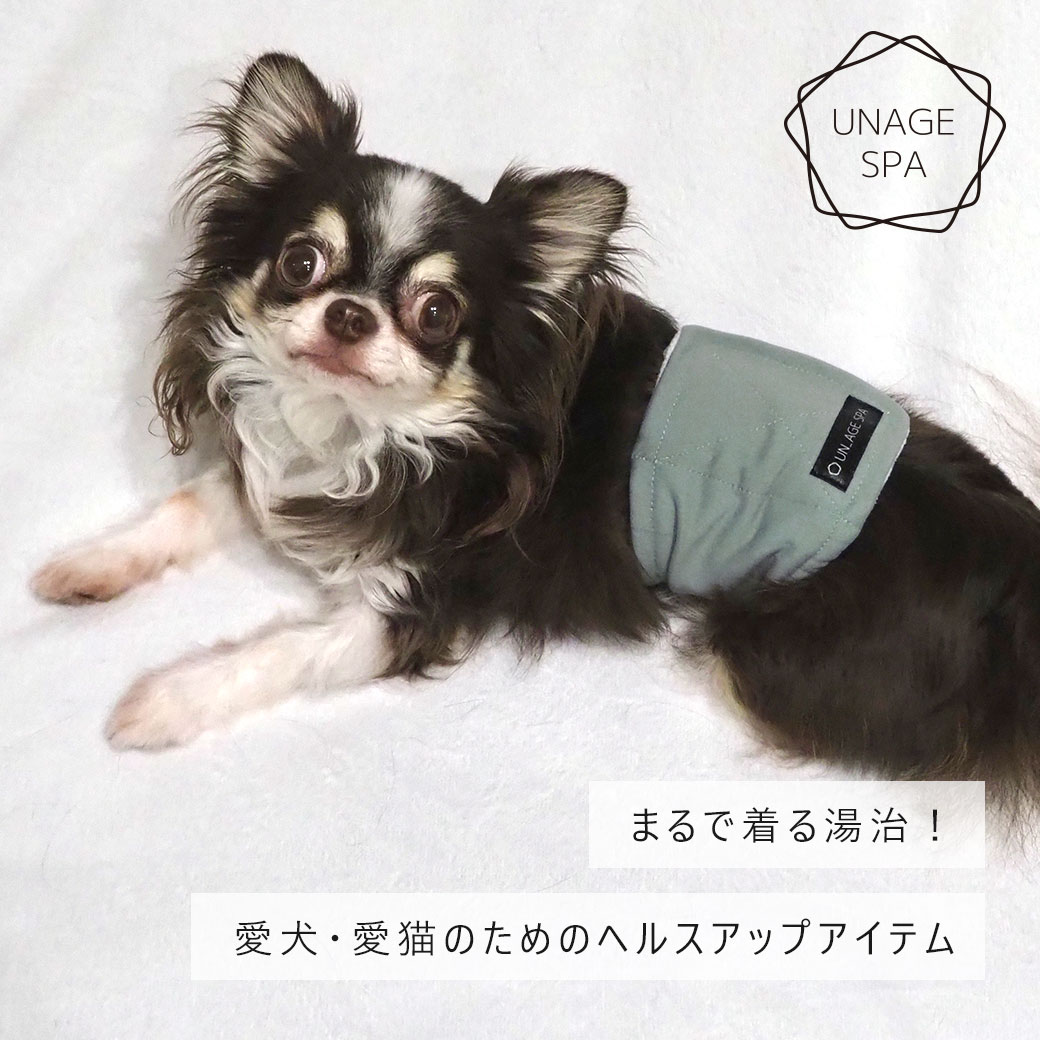 犬 猫 ペット ベッド iDog UNAGE SPA 腹巻き アイドッグ 介護用