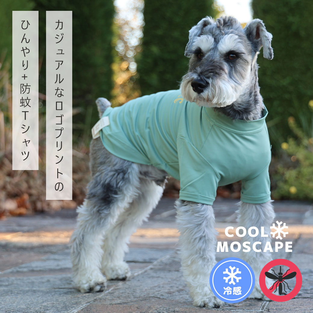 快適 犬 服 iDog COOL+MOSCAPE ロゴプリントメッシュTシャツ 接触冷感 防蚊 アイドッグ 蚊対策 虫除け 避暑 犬の服 犬服