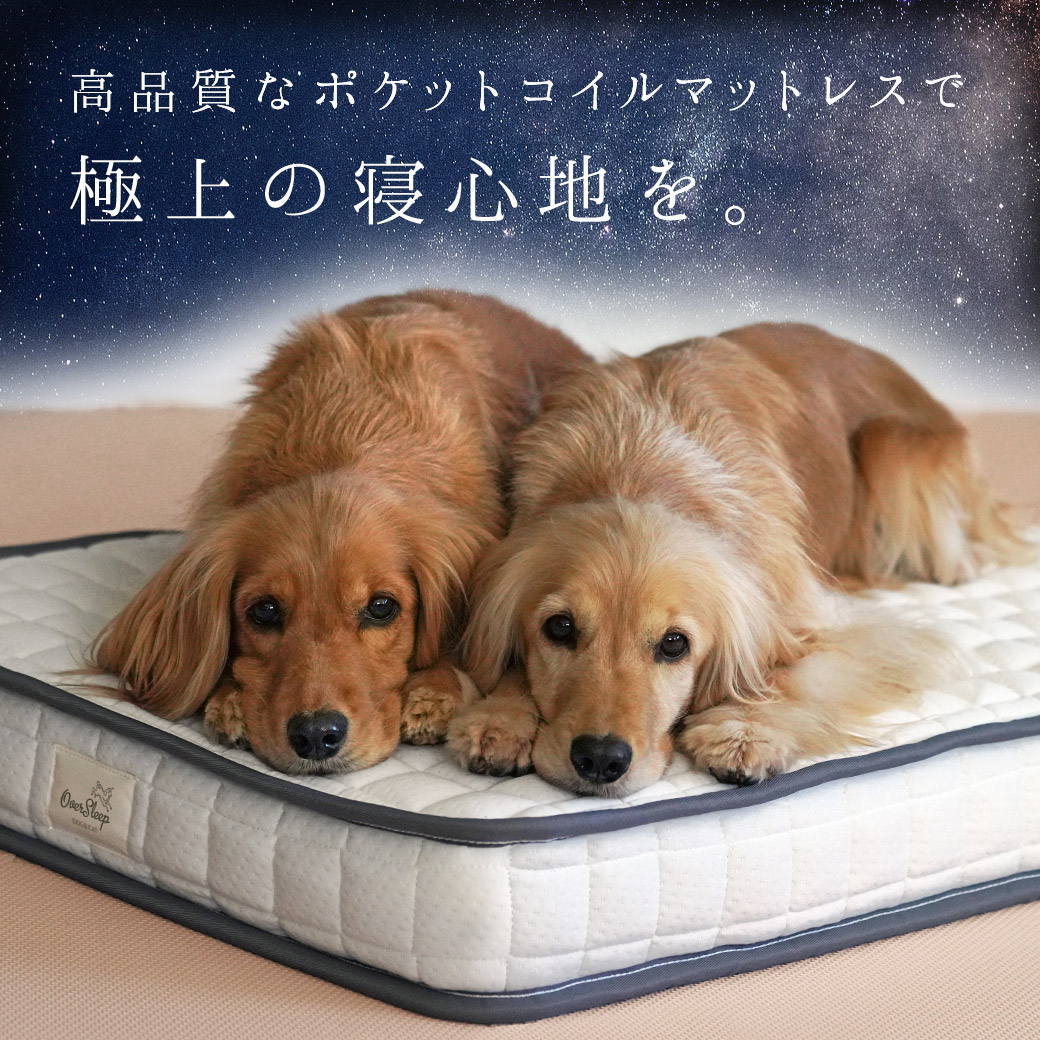  猫 ベッド IDOG&ICAT ポケットコイルマットレス コンフォートスリープ 愛犬用95×65cm ベッド マットレス クッション マット ソファ カドラー