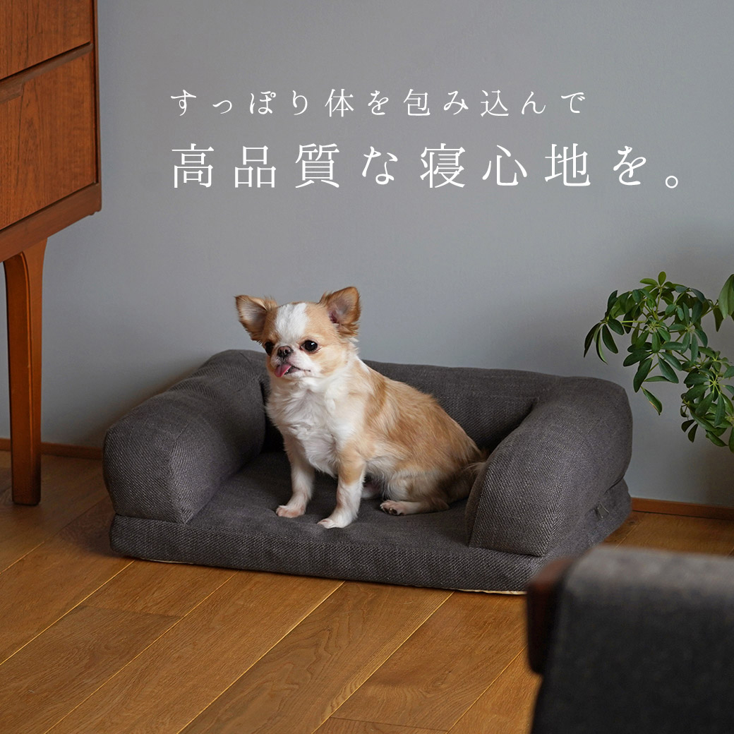  猫 ベッド IDOG&ICAT リラクシングソファベッド Sサイズ ベッド クッション マット ソファ カドラー