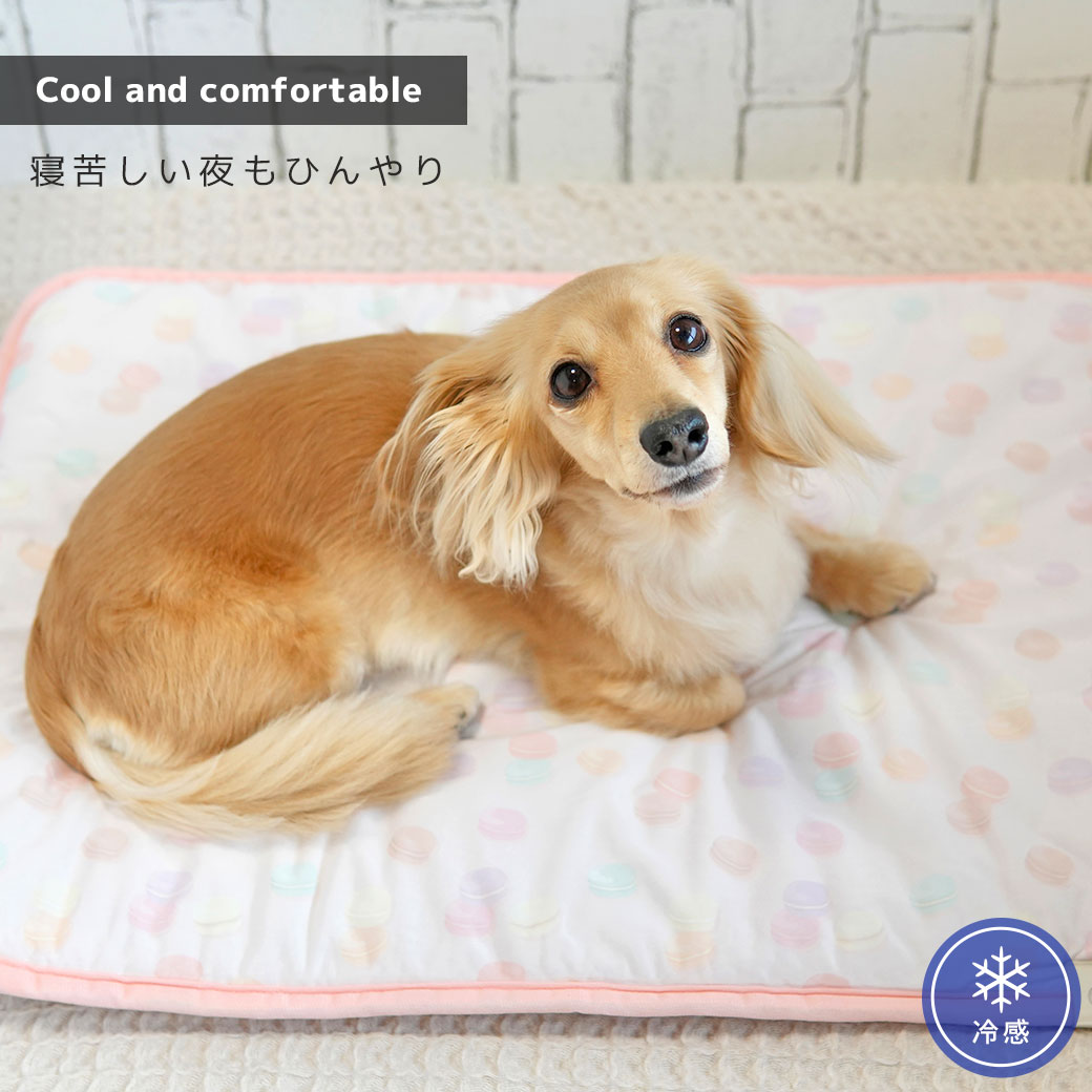 マット ステイマット IDOG&ICAT クールステイマット 接触冷感 抗菌 防臭 アイドッグ マット キャリー用マット