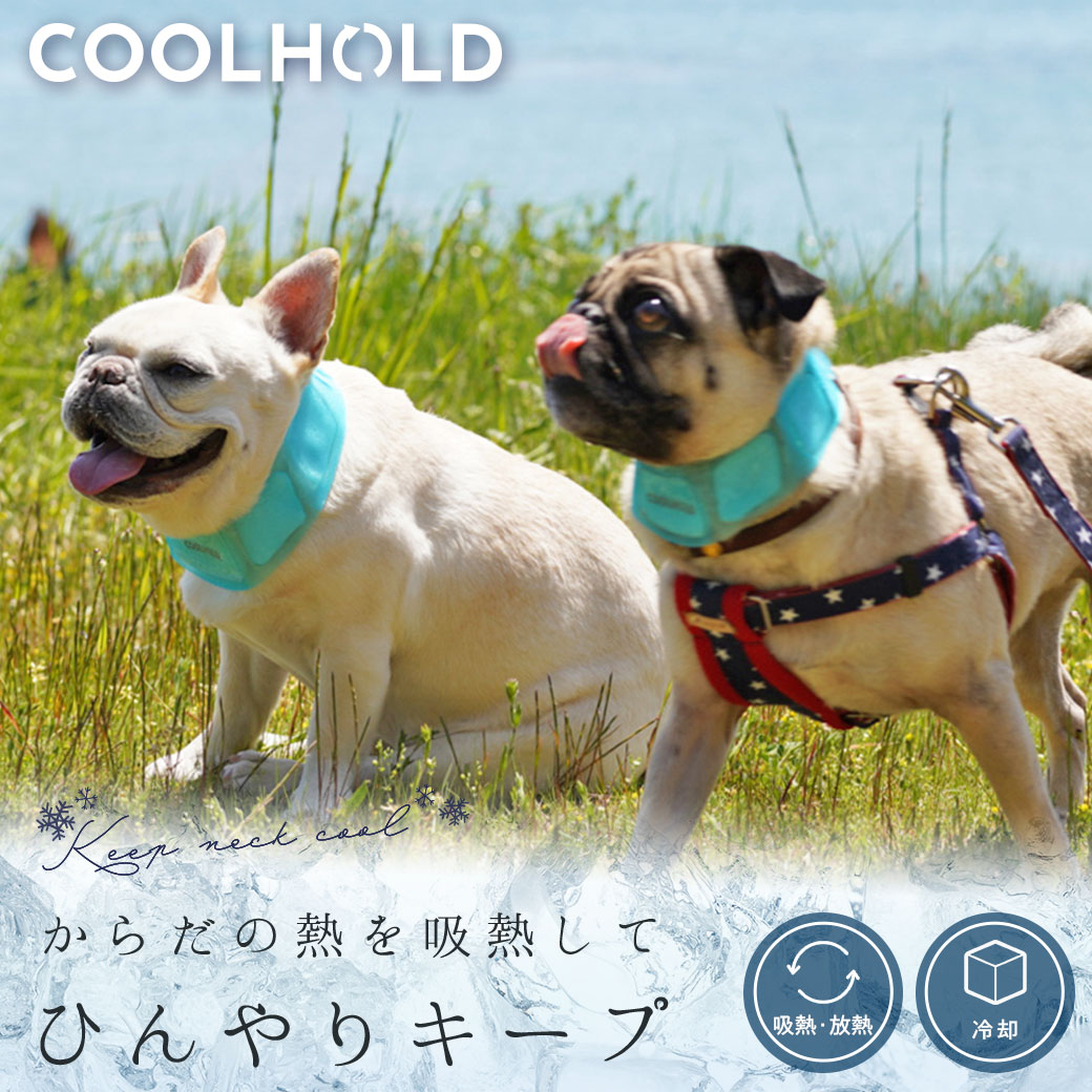 犬 猫 ペット iDog COOL HOLD PCM 首元ひんやりドッグクーラー アイドッグ 暑さ対策 冷感グッズ 熱中症予防 冷却 ひんやり