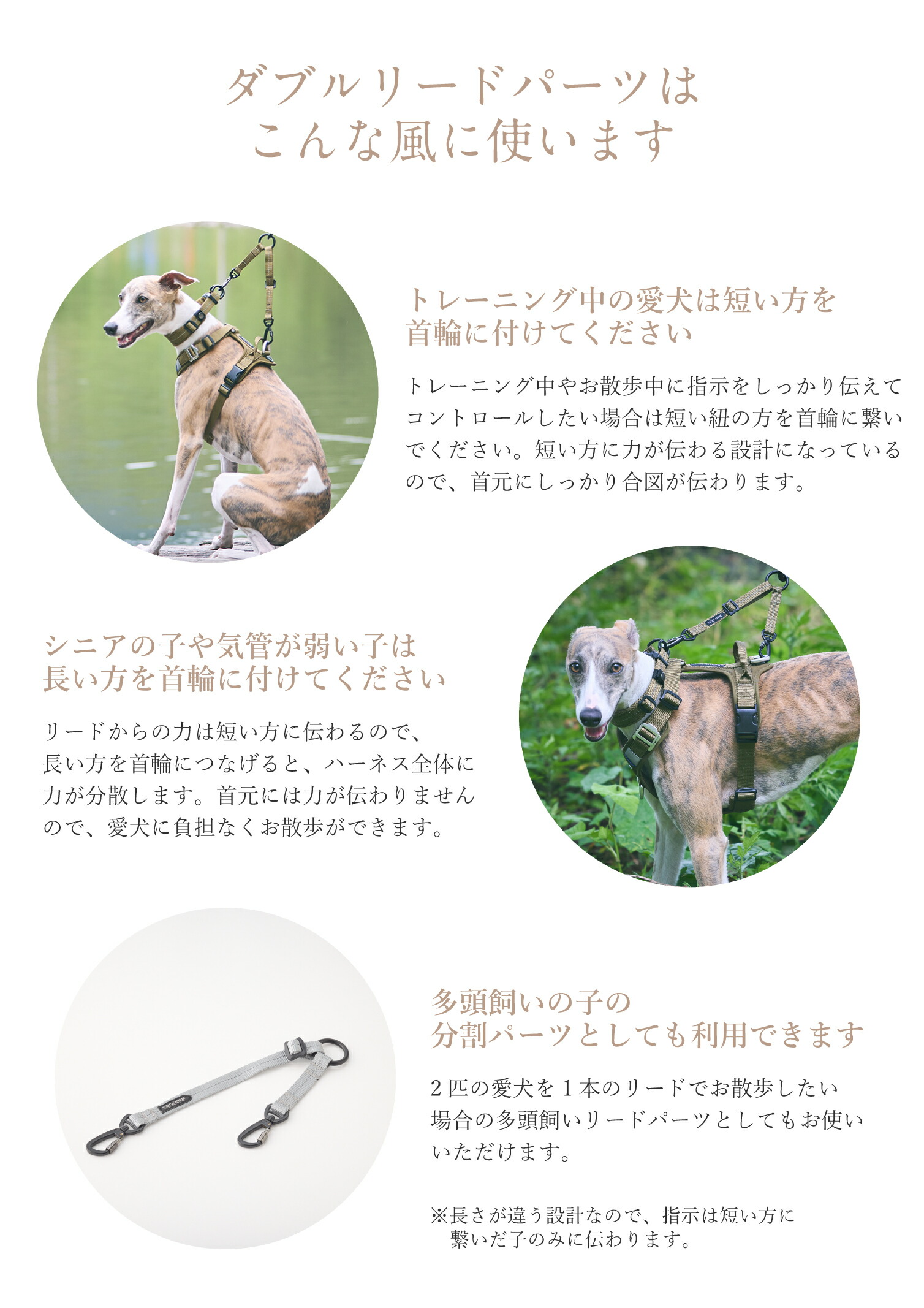 犬用リード パーツ 安い