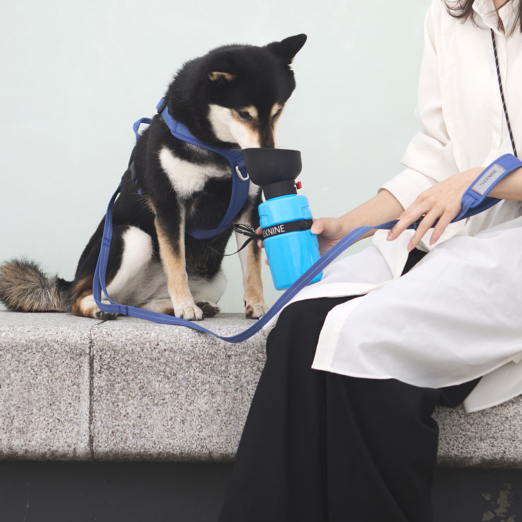 iDog お散歩 給水 TREKNINE FOLDABLE PET WATER BOTTLE