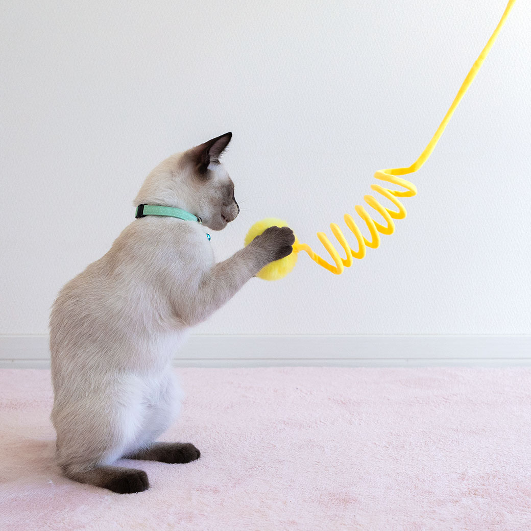iDog 猫 おもちゃ iCat 吊り下げびよよんじゃらし アイドッグ : iDog