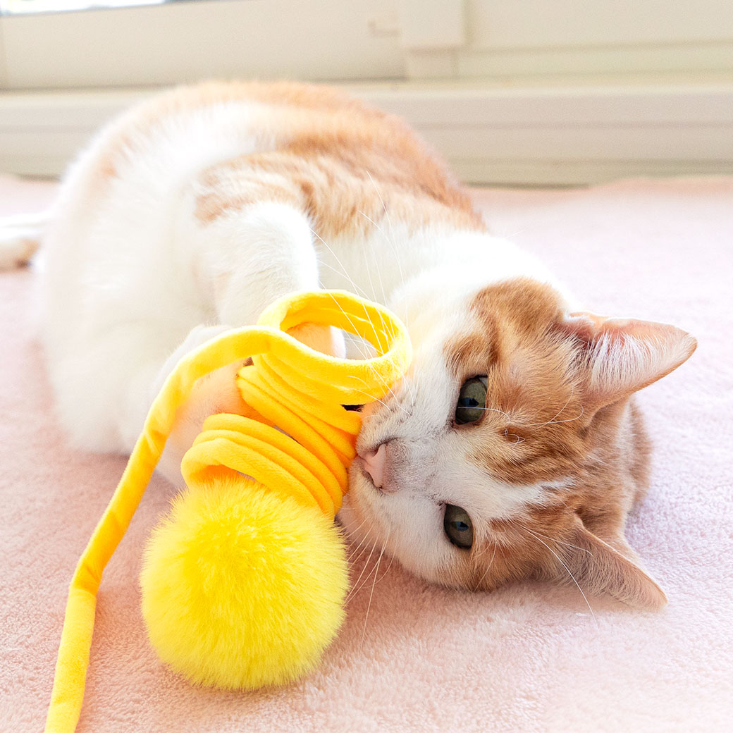 iDog 猫 おもちゃ iCat 吊り下げびよよんじゃらし アイドッグ : iDog