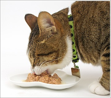 キャットフード詰め合わせ　112点 キャットフード 缶詰 セット 猫缶 プリンピア 介護のためのたま