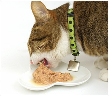 キャットフード 缶詰 セット 猫缶 プリンピア 介護のためのたま