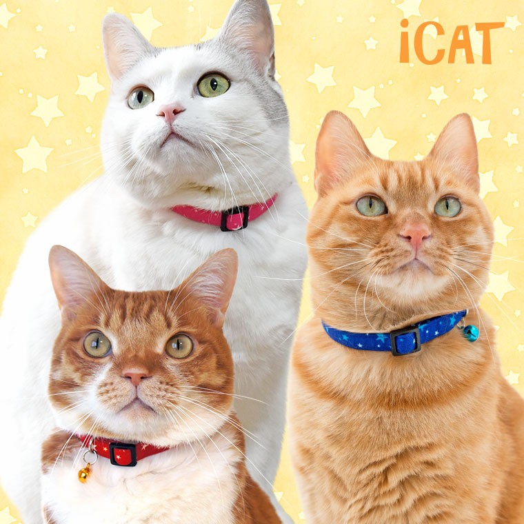 猫 首輪 iCat カジュアルカラー ランダムスター 猫の首輪 猫首輪 安全首輪