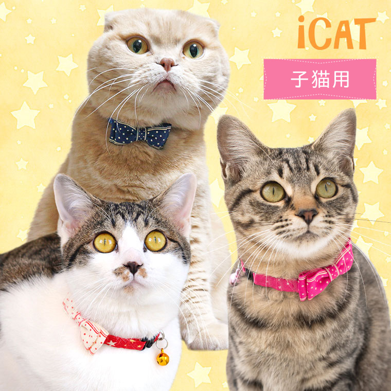 iDog 猫 首輪 キティカラー ランダムスター×スターリボン iCat アイ