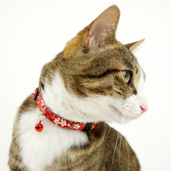 【くるねこさん専用】アイレットレース　オールインワン【新品未使用・タグ付き】 iDog 猫用品 iCat カジュアルカラー 和柄 しだれ桜 猫用首輪