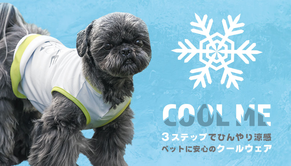 ⭐️テオアイムクール⭐️犬服⭐️ロック⭐️XS 【公式通販】 ⭐️テオアイムクール⭐️犬服⭐️ロック⭐️XS 【公式通販】
