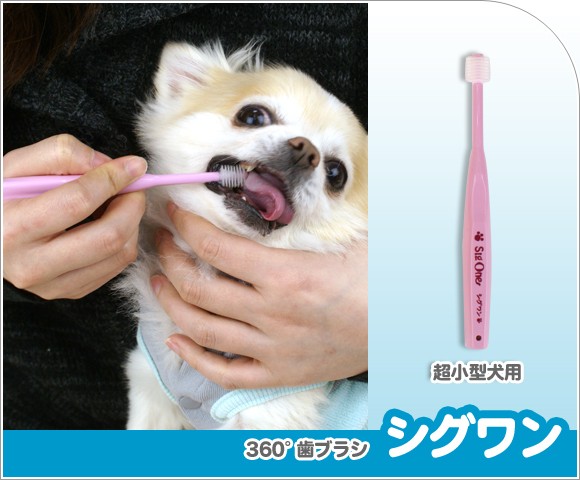 i-Care-Pet 電動歯ブラシ デンタルケア用品 i-Care-Pet 電動歯ブラシ デンタルケア用品 iCare-Pet ペット用