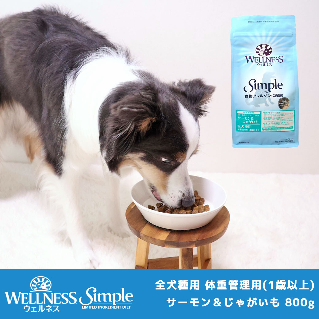 犬 ドッグフード Wellness ウェルネス シンプル 全犬種用 体重管理用