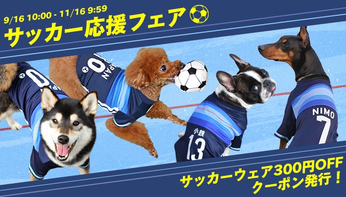サッカー応援フェア