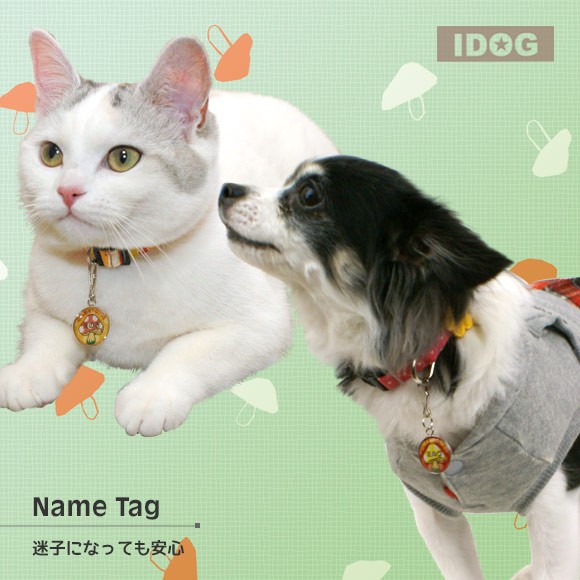 犬 猫 ペット 迷子札 iDog&iCat オリジナルネームタグ 迷子札 きのこ ネームプレート 名札 ドッグタグ
