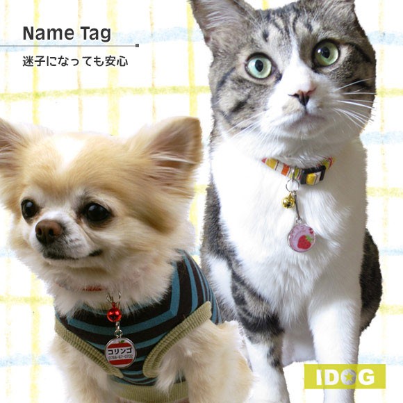 犬 猫 ペット 迷子札 iDog&iCat オリジナルネームタグ 迷子札 フルーツ ネームプレート 名札 ドッグタグ