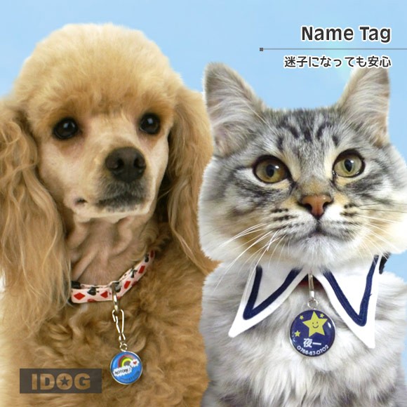 犬 猫 ペット 迷子札 iDog&iCat オリジナルネームタグ 迷子札 スカイ ネームプレート 名札 ドッグタグ