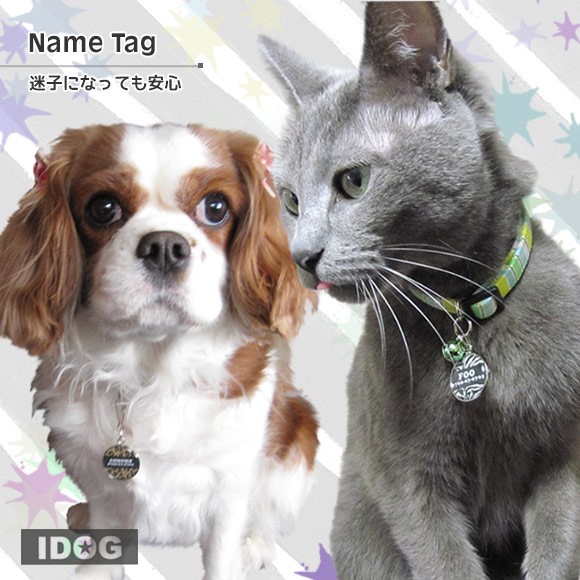 犬 猫 ペット 迷子札 iDog&iCat オリジナルネームタグ 迷子札 ANIMAL ネームプレート 名札 ドッグタグ