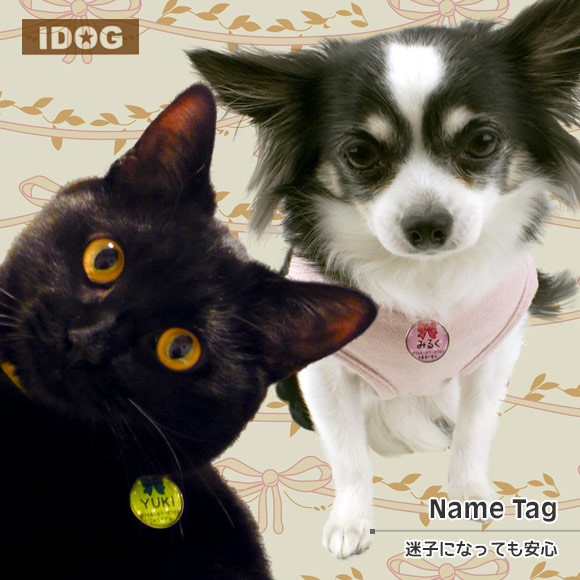 犬 猫 ペット 迷子札 iDog&iCat オリジナルネームタグ 迷子札 水玉りぼん ネームプレート 名札 ドッグタグ