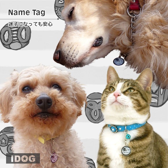 犬 猫 ペット 迷子札 iDog&iCat オリジナルネームタグ 迷子札 海賊ボーダー ネームプレート 名札 ドッグタグ