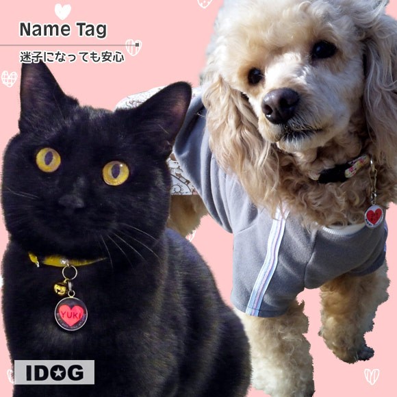 犬 猫 ペット 迷子札 iDog&iCat オリジナルネームタグ 迷子札 ハート ネームプレート 名札 ドッグタグ