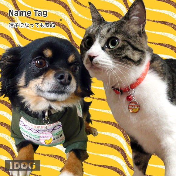 犬 猫 ペット 迷子札 iDog&iCat オリジナルネームタグ 迷子札 バナナボーダー ネームプレート 名札 ドッグタグ