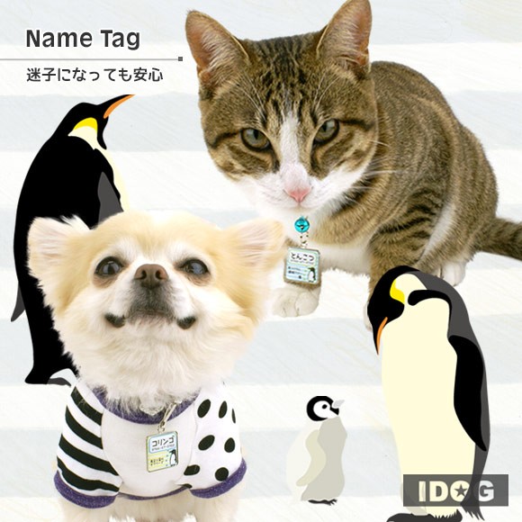 犬 猫 ペット 迷子札 iDog&iCat オリジナルネームタグ 迷子札 角丸 ペンギンボーダー ネームプレート 名札 ドッグタグ