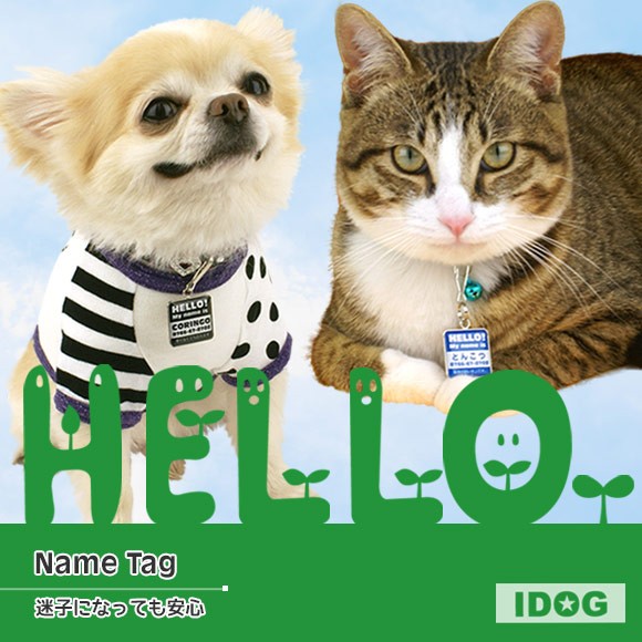 犬 猫 ペット 迷子札 iDog&iCat オリジナルネームタグ 迷子札 角丸 ハロー ネームプレート 名札 ドッグタグ